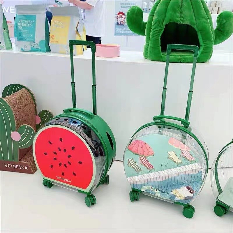 New pet trolley case 2021